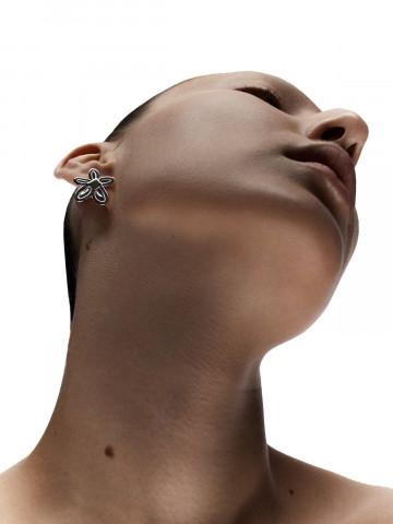 Пуссета фиалка