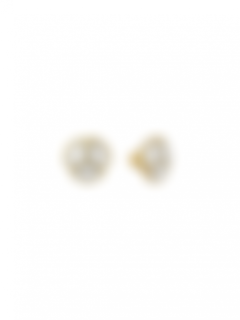 Пуссеты завязи