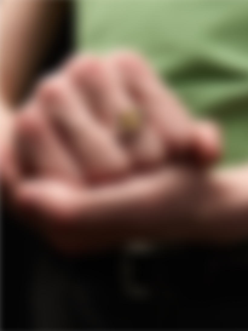 Печатка завязь