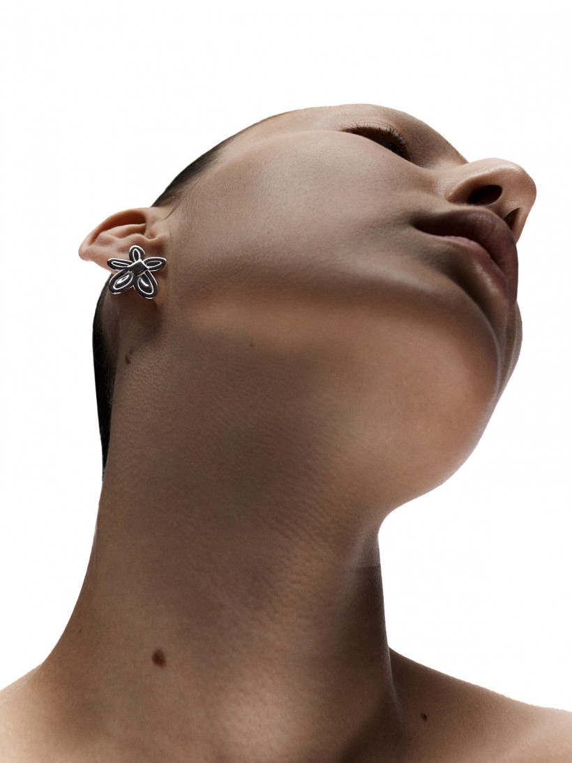 Пуссета фиалка