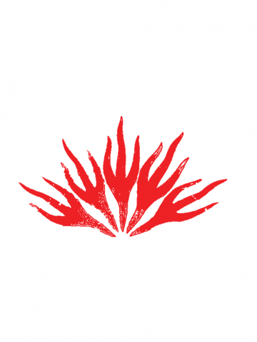 УЛЕТИТ ЗОЛА ЗА ПРЕДЕЛЫ ЗЛА