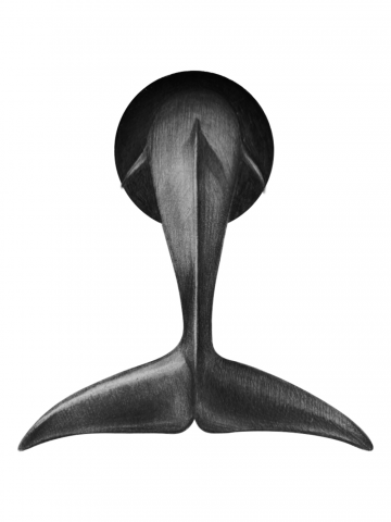 ПОСЛЕДНИЙ ДЕЛЬФИН