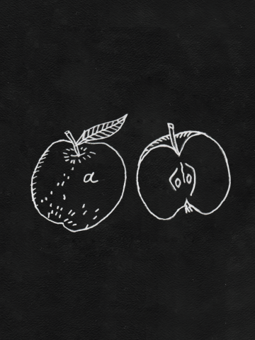 Целое и половина яблока (контурная)