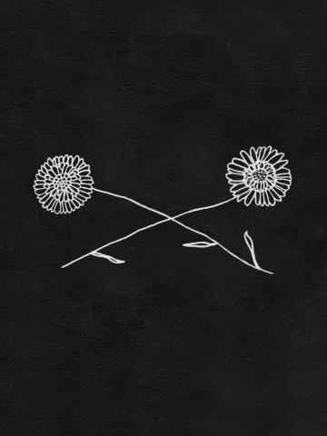 Астры, перекрещенные для защиты (контурная)