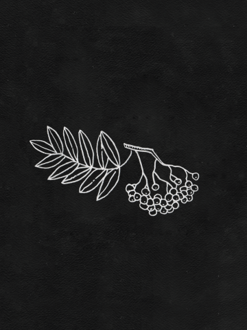 Рябина-огонёк (контурная)