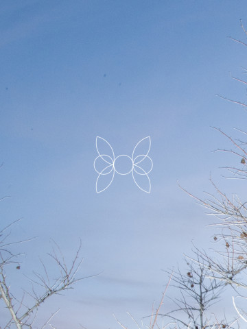 Ангел-бабочка