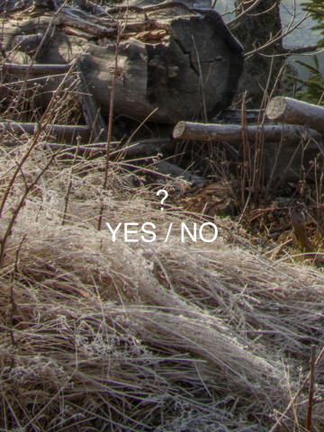 Ответ без вопроса