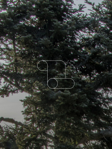 Чистый свиток