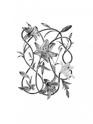 Ни развязать, ни разрубить