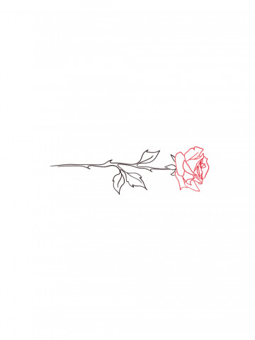 Розовая роза