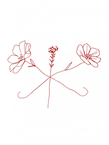 Живые цветы