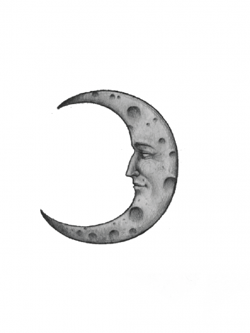 Полумесяц, спокойно смотрящий влево (детальная)
